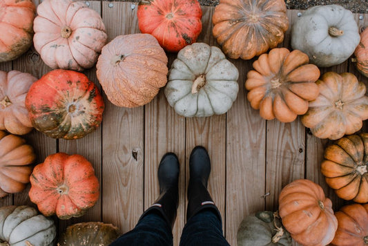 A DIY Guide to Pumpkin Skincare