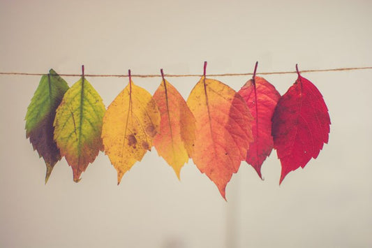 It’s Fall! Time to Update Your Skincare